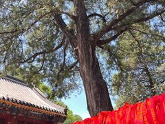 -红螺寺
