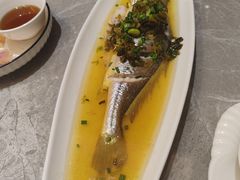 -老绍兴养和饭店(向阳不夜城店)
