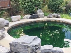 -中家鑫园温泉酒店鑫悦汤泉