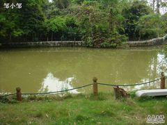-广西壮族自治区药用植物园