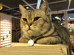 -小时光咖啡馆(开森度假森林店)