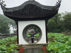 -周震馄饨