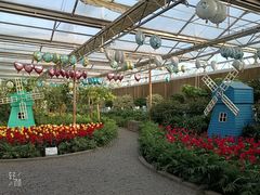 -南宫五洲植物乐园