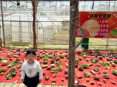 -前小桔亲子创意农场·草莓采摘·露营烧烤