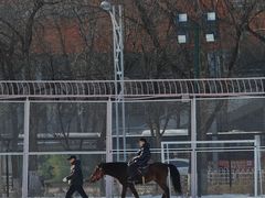 -沈阳奥体冰雪嘉年华