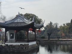 -无锡蠡湖国家湿地公园-蠡园