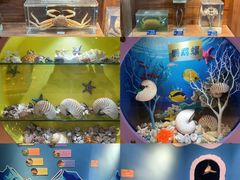 -多彩贵州城极地海洋世界