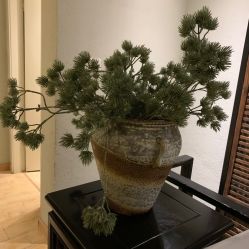 点击看大图 -香秀空间科技抗衰·美容中心