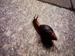 -厦门国家会计学院