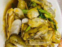 姜葱爆炒蛏子-阿杰臻选海鲜饭店(普陀山店)