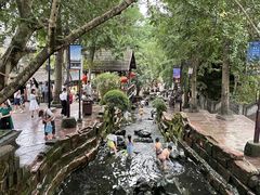 -黄龙溪古镇