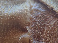 -老员外骨汤火锅(海州古城店)