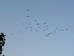 -东钱湖旅游度假区