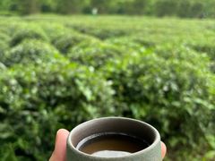 -绿茶餐厅(龙井船宴· 品牌总店)