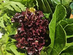 -草原塞蛮羊火锅城(港湾店)