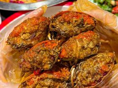 -海岛八号龙虾烧烤田鸡(蓝天路总店)