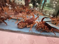 -香融府·烤鸭·家常菜(马家堡路店)