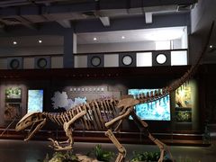 -自贡恐龙博物馆