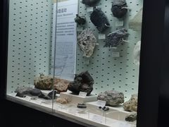 -浙江自然博物院(杭州馆)