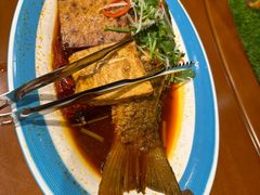 -蒙古大营(朝阳公园店)