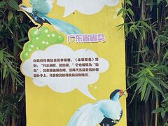 -广州长隆飞鸟乐园