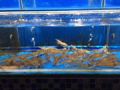 水产区-十三道烧烤(保利西街店)
