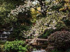 -中国茶叶博物馆(双峰馆区)