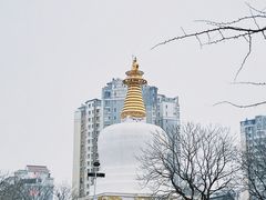 -护国法轮寺