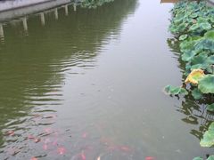 -中央戏剧学院(东城校区)