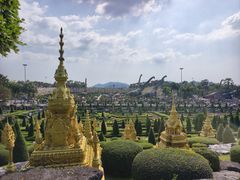 -东芭乐园