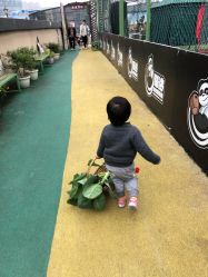 -梦田都市农场(银泰城店)