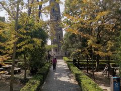 -上海佘山国家森林公园天马山园