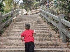 -点都德(广州白云山景区南门店)