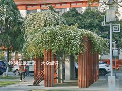 -四川大学(望江校区)
