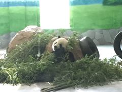 -临沂动植物园