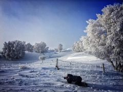 -塞罕坝国家级自然保护区