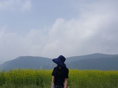 -蔚县茶山村