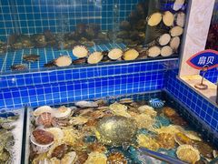 水产区-乔哥铭洋海鲜自助(皇城恒隆广场店)