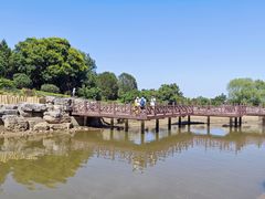 -北京西山国家森林公园