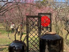 -无锡梅园公园