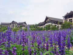 -清远熹乐谷温泉度假酒店