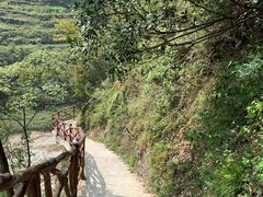 -鹿院坪生态旅游景区