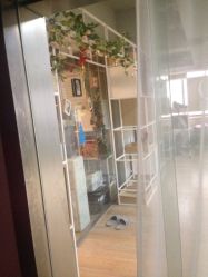 -华翎国际钢管舞培训