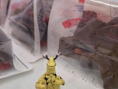 -红星前进面包牛奶公司(五道口购物中心店)
