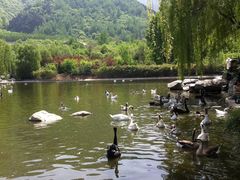 -西安秦岭野生动物园