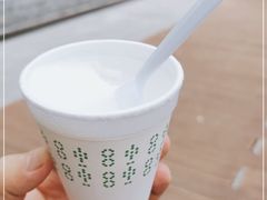 -洪馨椰子