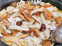 -菌之家·专业纯野生菌火锅·特色炒菌