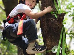 -宾果蒙特梭利托育儿童之家幼儿园(爱琴海店)