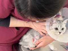 -美联众合动物医院·24h京西诊疗中心