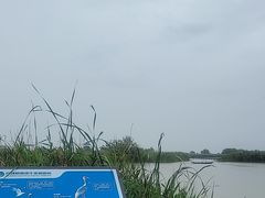 -盐城丹顶鹤湿地生态旅游区